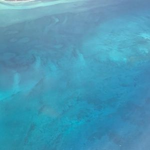 Meet your Posher, Amelia